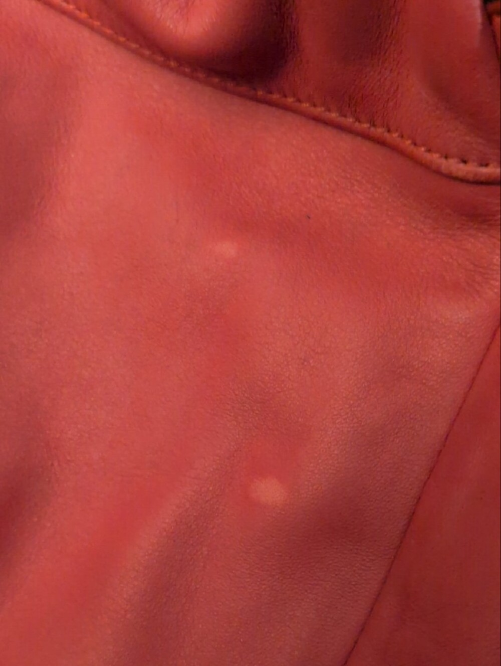 Coach Daisy  Leather Shoulder Bag in Dark Pink - Picture 14 of 16